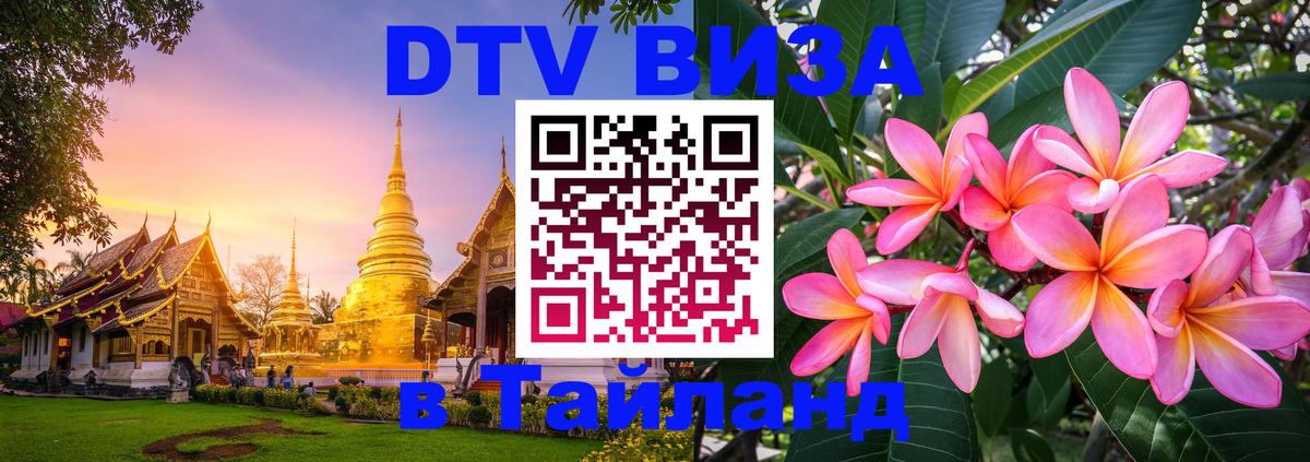 Сколько стоит DTV виза — актуальные цены, оформление даже без документов - Калининград 